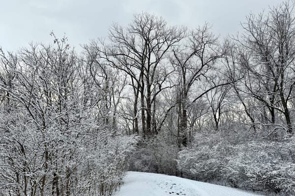 Naming the Snow