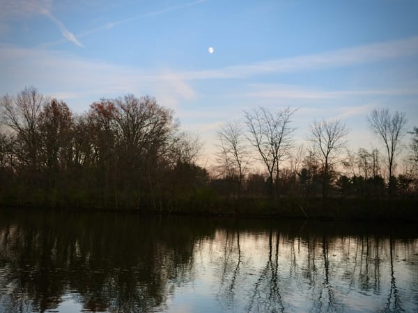 A Bright Daytime Moon Hung in the Sky